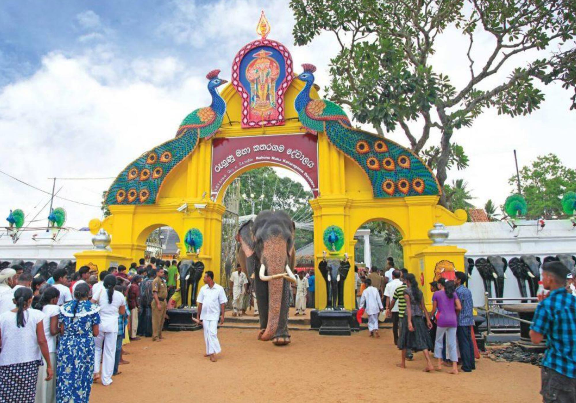 Welcome to YOO Lanka our official website