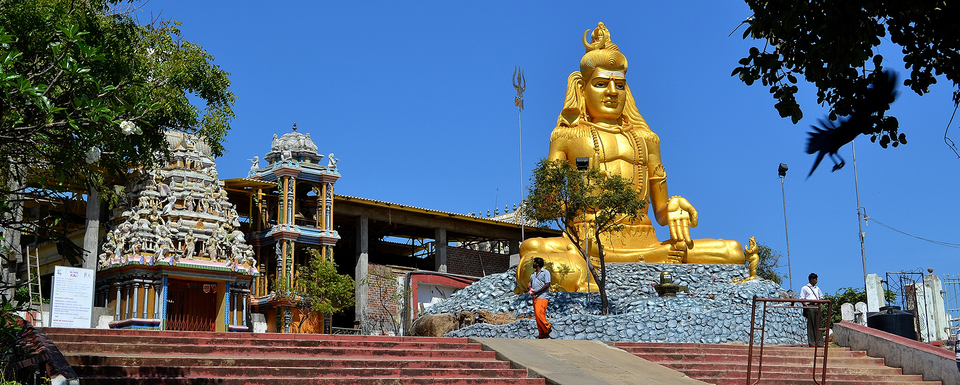 Welcome to YOO Lanka our official website